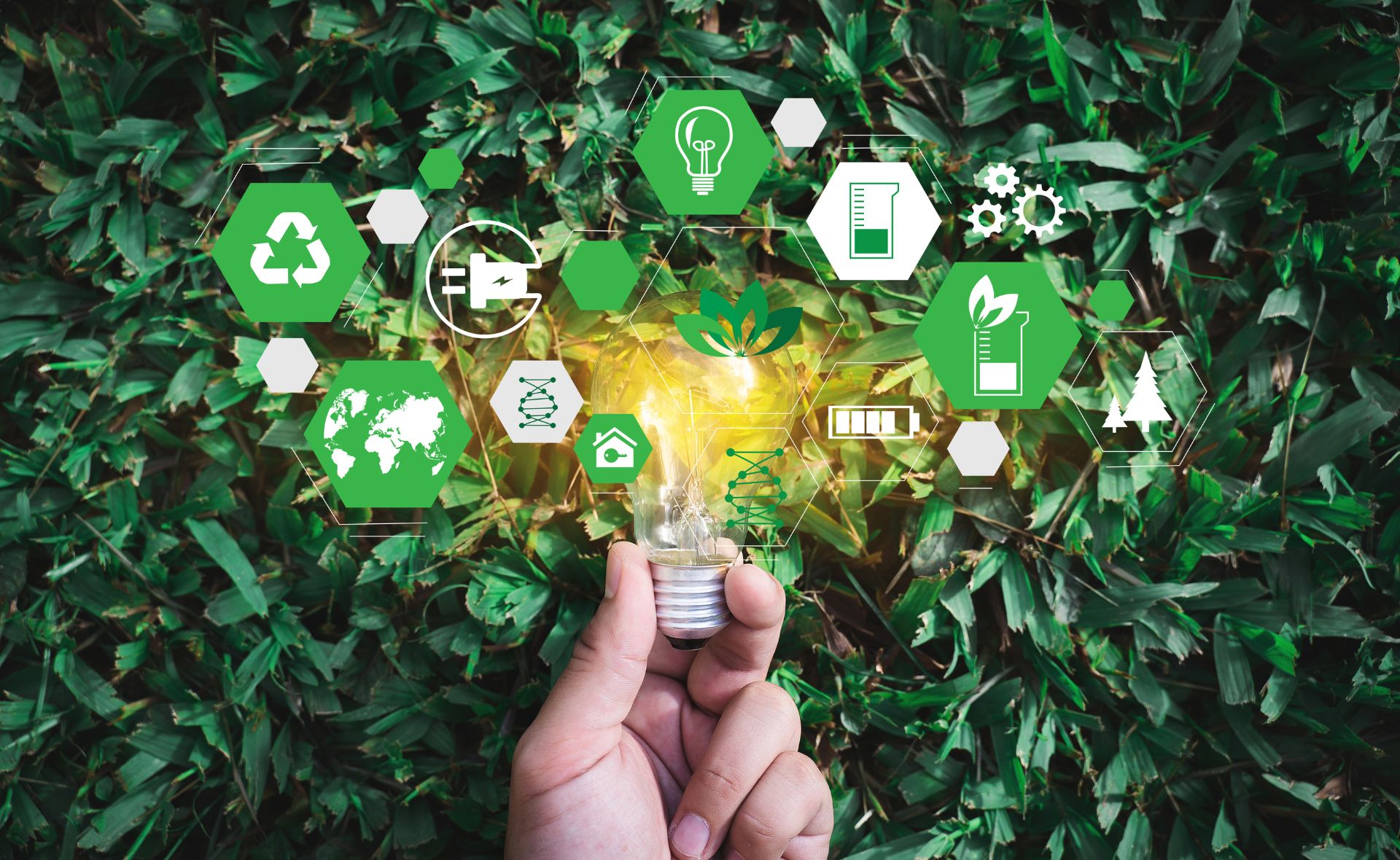 Sustentabilidade e responsabilidade ambiental na sua entrega